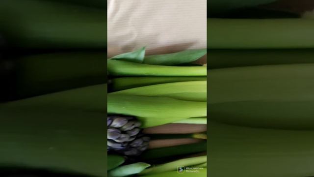 BLOOM AND WILD SURPRISE SPRING BOUQUET. with tulip bulbs to replant. смотреть онлайн