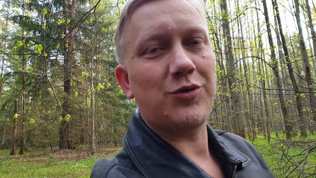 СРАВНЕНИЕ СТРОЧОК ГИГАНТСКИЙ И СТРОЧОК ОБЫКНОВЕННЫЙ ! Прогулка по майскому лесу ! Грибы 2021 ! смотреть онлайн