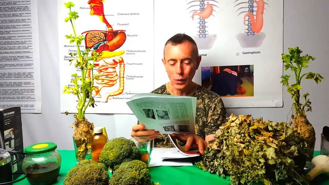 ЭТО ПРОСТО И БЕЗ ДЕНЕГ! ЯЗВА ЖЕЛУДКА, ГАСТРИТ! Эрозия, Опущение желудка. Чистоте смотреть онлайн