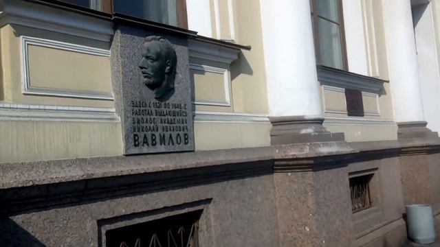 Недалеко от Исаакиевского собора, возле реки Мойка смотреть онлайн