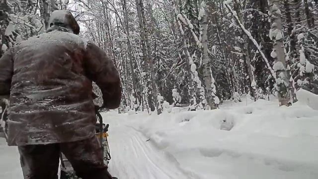 Едем на мотособаке!!! смотреть онлайн