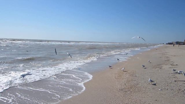 Азовское Море | Кирилловка | Федотова Коса смотреть онлайн