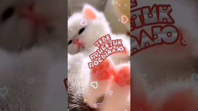 ВАМ ОТ МЕНЯ ПРИВЕТИК смотреть онлайн