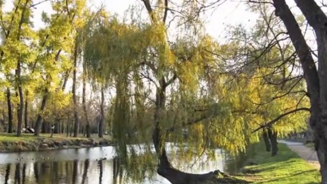 Моя осень 2013. Для проекта "Сказки осени" сайта "Перекресток Миров" смотреть онлайн