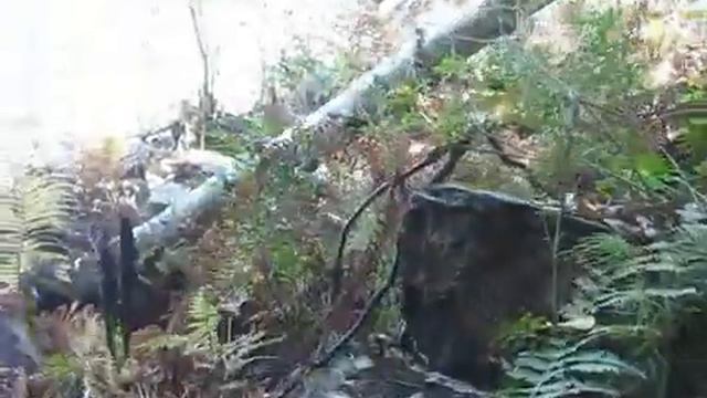 Каменный дом Троллей смотреть онлайн