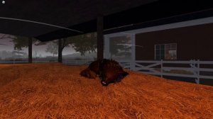 КАК РОЛИТЬ ЗА БРОДЯГУ В КОТАХ ВОИТЕЛЯХ ROBLOX!