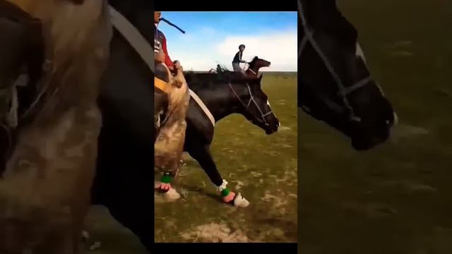 Көкпар смотреть онлайн