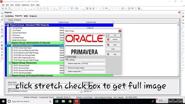 Customization of Primavera P6 Report (Advanced) смотреть онлайн