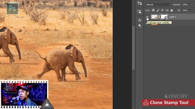 Belajar Photoshop Dasar CC 2020 Clone Stamp Tool & Pattern Stamp Tool Sampai Mahir смотреть онлайн