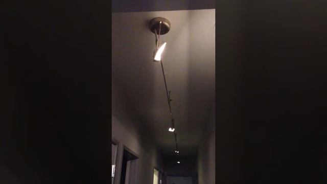 Tech Lighting Ibis LED head with recommended dimmer смотреть онлайн