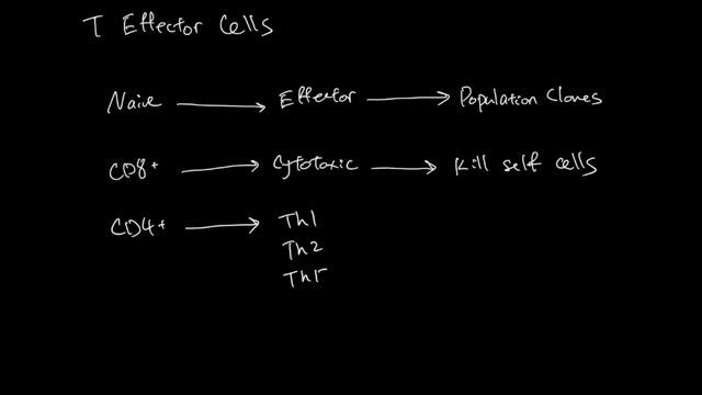 T Effector Cells смотреть онлайн