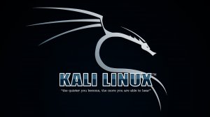 Урок 35 DNS-перечисление (Kali Linux полный курс)