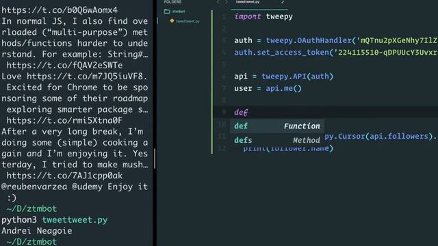 195. Our First Twitter Bot 2 Python Beginner to Master / Learning course. смотреть онлайн