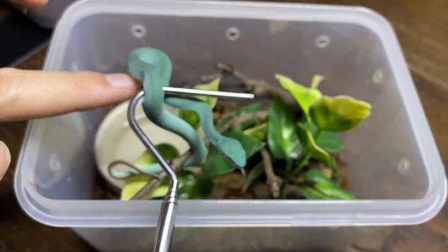 BLUE VIPERS' 2 : ELECTRIC BOOGALOO смотреть онлайн