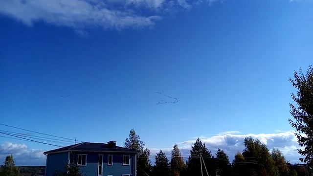 Журавли прощаются. 07.10.2022 смотреть онлайн