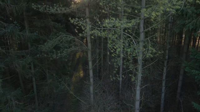 НОВЫЙ ВИБРАЦИОННО ЭНЕРГЕТИЧЕСКИЙ ЦИКЛ ЗЕМЛИ смотреть онлайн