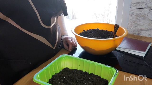 посев из семян, гвоздика турецкая смесь, 28.01.23 смотреть онлайн