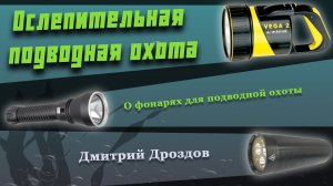 Фонари для подводной охоты