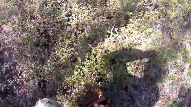 Торфяные карьеры Соколье. 20 июля 2021. смотреть онлайн