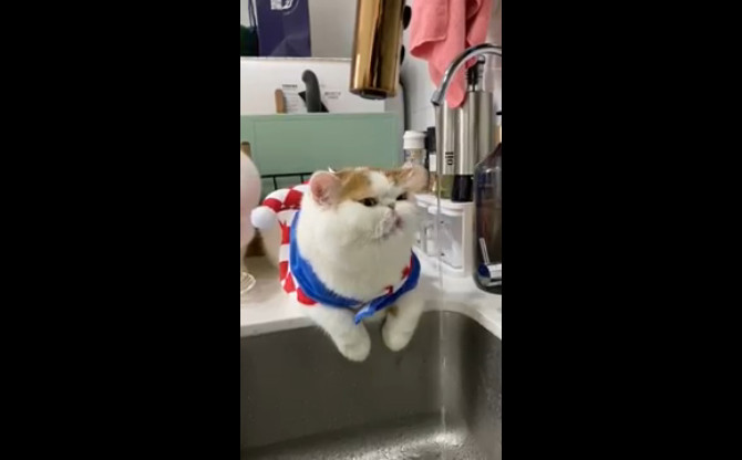 Хочется пить... смотреть онлайн