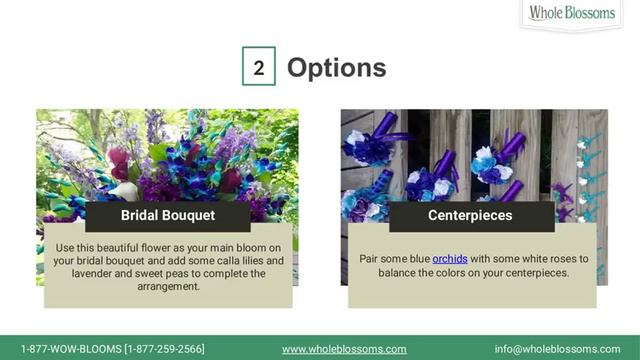 Use Blue and Purple Orchid Flower in Your Wedding Theme смотреть онлайн
