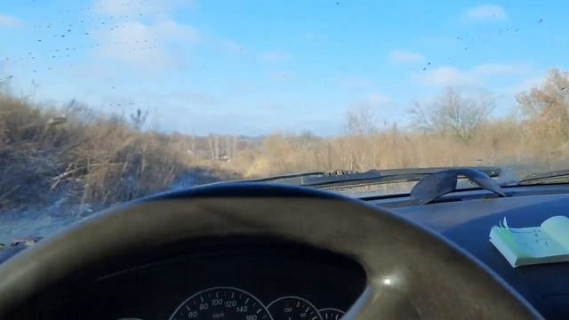 Обзор Озимой пшеницы Гром .Что с ней ?Замерзла! смотреть онлайн