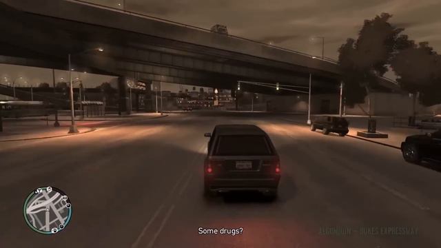 Karen Daniels (Michelle) - GTA IV &  GTA V