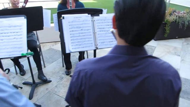 Dana Point Symphony Wind Quintet performs at 2014 fundraiser смотреть онлайн