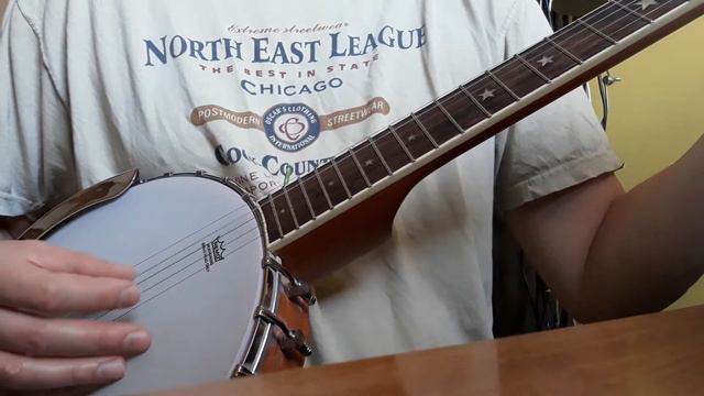 Harmonica and hohner holder and banjo practice #stayhome смотреть онлайн