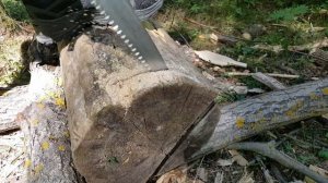 Походная пила BIGBOY 2000 Silky. Обзоротест