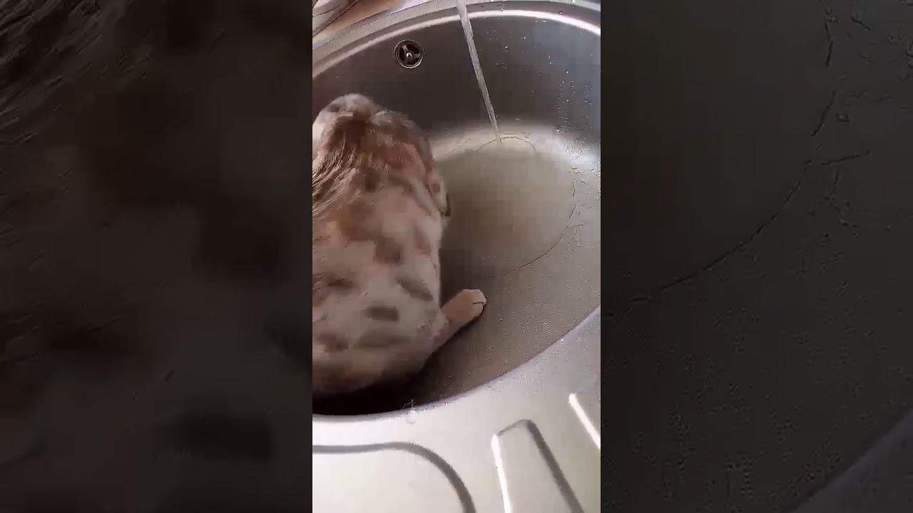 22 января 2020 г. смотреть онлайн