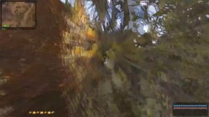 S.T.A.L.K.E.R. В Аду... Псы - Артефакты для Гири