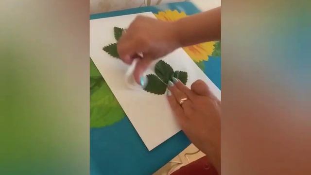Сушим листья для гербария смотреть онлайн