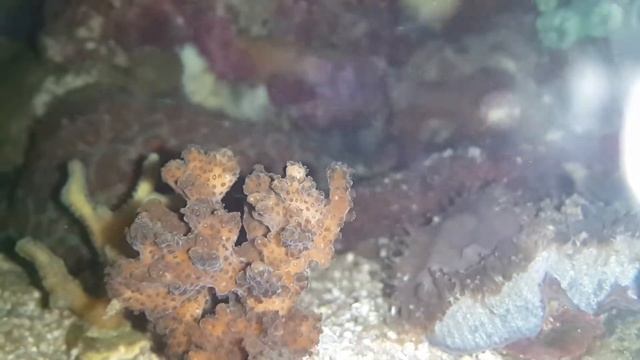 2,5 часа после выключения света смотреть онлайн