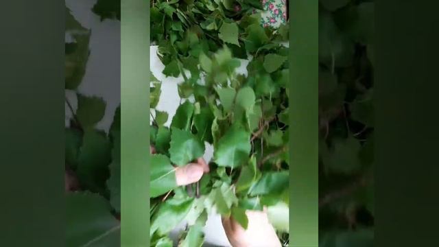 Мастер - класс "Плетение венков" ( из березовых веточек) смотреть онлайн