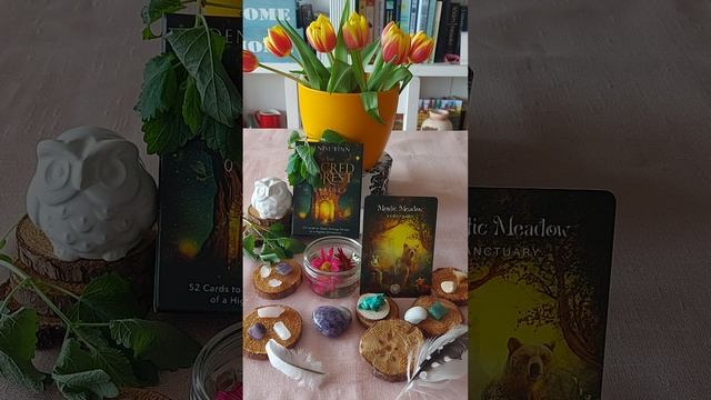 Gemini ♊ The Sacred Forest Oracle: Mystic Meadow. It's about Sanctuary. смотреть онлайн