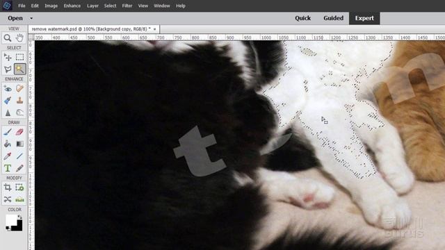 How You Can Use Adobe Photoshop Elements to Remove a Watermark from a Photo смотреть онлайн