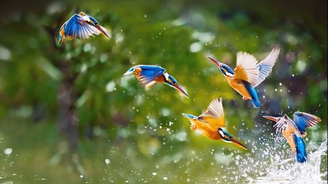 Красивая музыка и звуки природы G.E.N.E.- Get The Test 1991