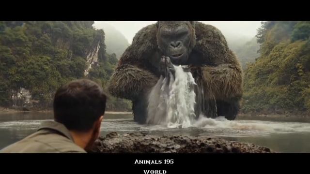 Gorilla vs man attack for octopus movie 2021 смотреть онлайн