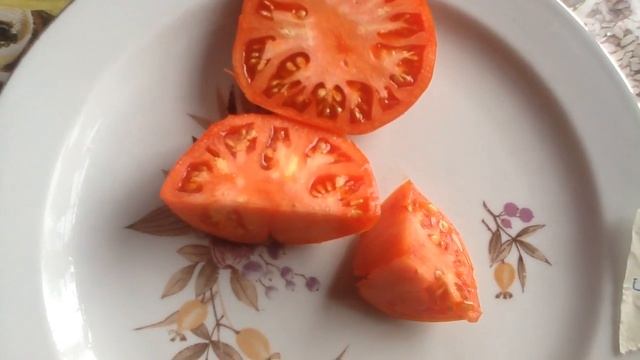 Дегустация томата "Король ранних" смотреть онлайн
