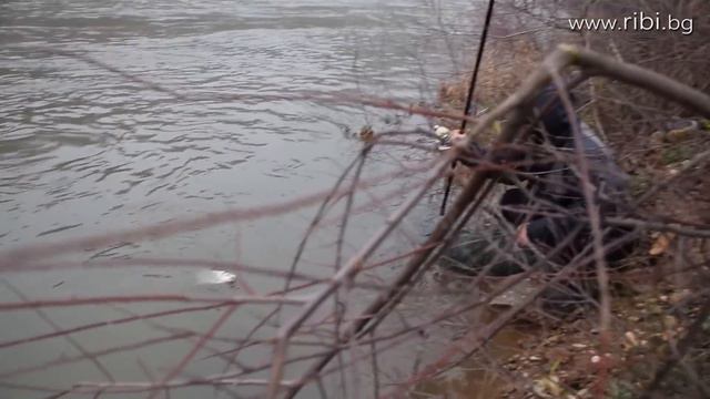Струмски скобари на троха - част 1 смотреть онлайн