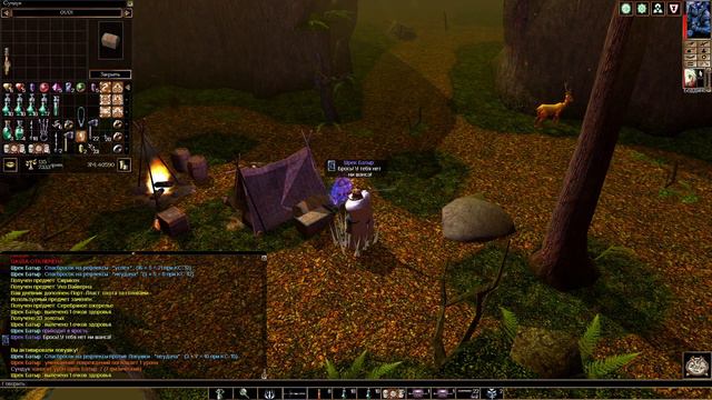 Neverwinter Nights EE ч.24 - Злые звери. Прохождение за варвара смотреть онлайн