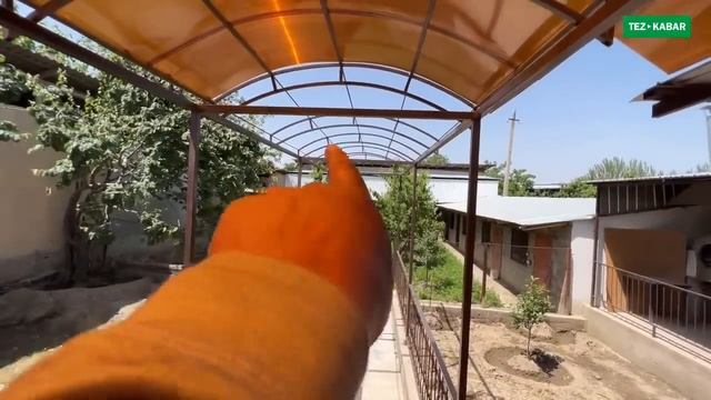 Бул ҮЙ сатылбай турган болуп калды \ Эми ээсине такыр чалбагыла. смотреть онлайн