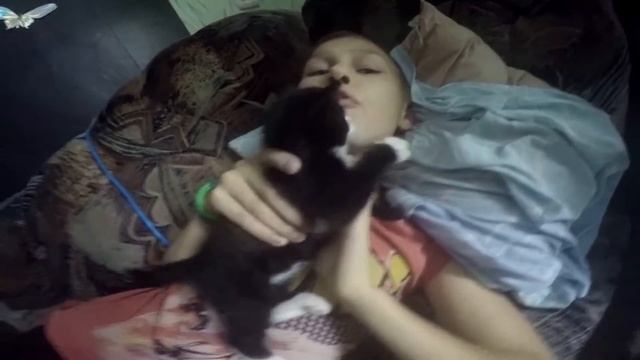 GOPRO проверка камеры и милый котёнок) смотреть онлайн