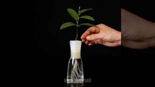 Все проще простого. Можешь сделать сам! смотреть онлайн