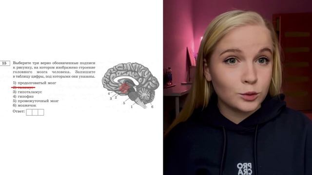 СБОРНИК РОХЛОВА 2023: вариант 1, задание 15 смотреть онлайн