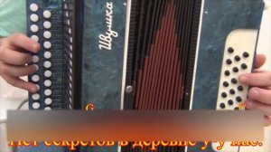 От людей на деревне не спрятаться || разбор на гармони