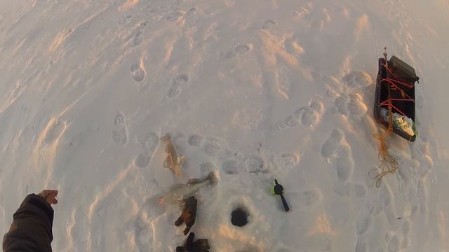 Бокоплав "VOtves". Оса 17 г. ДОН смотреть онлайн