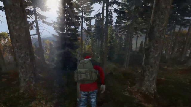 Как выживать новичку в Dayz,С 0 до ТОП ЛУТА!ВЫЖИВАНИЕ ОДИНОЧКИ!#dayz #dayzgameplay MINISTR Dayz 3pp