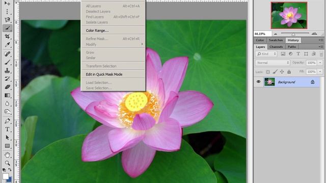 Adobe Photoshop - Обзор инструментов выделения областей изображения смотреть онлайн